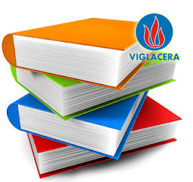 Báo cáo tài chính hợp nhất Tổng công ty Viglacera - CTCP năm 2015